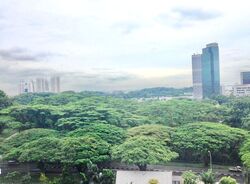 The Interlace (D4), Condominium #635921451
